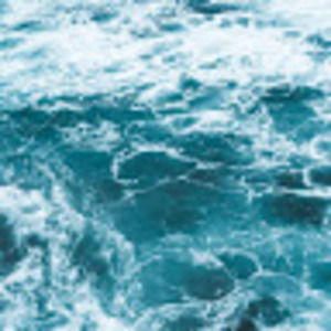 Meet your Posher, Naomi